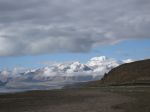 IMG_4156.jpg