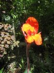 IMG_4267.jpg