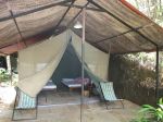 _20090804_142954.jpg