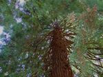 DSCF6331.jpg