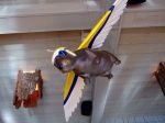 DSCF6340.jpg