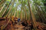 cc1-Canada-Vancouver-mountain-biking-andy-c.jpg